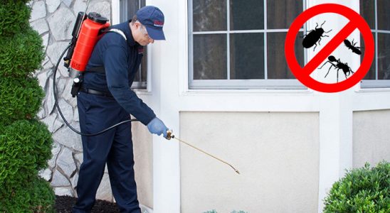 Gemerek Bit İlaçlama böcek ilaçlama ve haşere kontrolü — ilaclama-tr.com